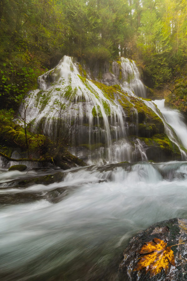 Panther Creek Falls, Skamania County, Washington