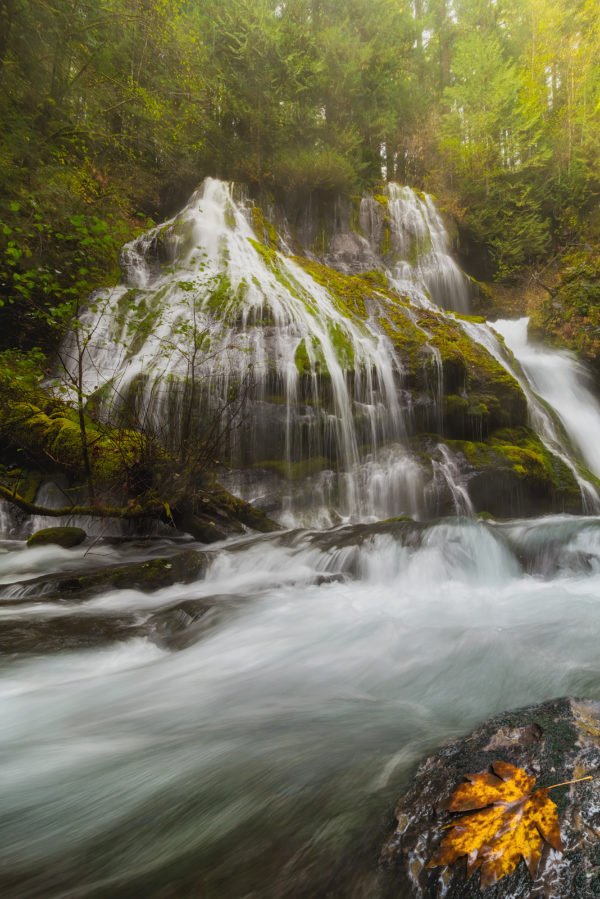 Paradise Falls, Skamania County, Washington - Northwest Waterfall Survey