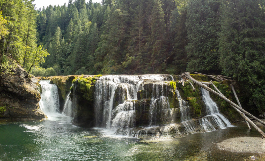 Paradise Falls, Skamania County, Washington - Northwest Waterfall Survey