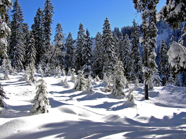 Old Man Pass Skamania County, Washington 