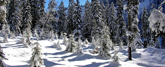 Old Man Pass Skamania County, Washington