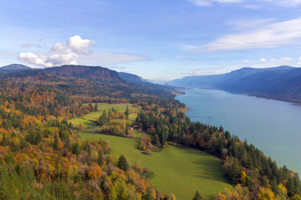 Fall in the Columbia River Gorge from Cape Horn lookout 
