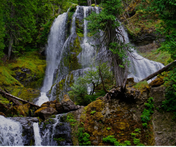 Falls Creek Falls in Skamania County